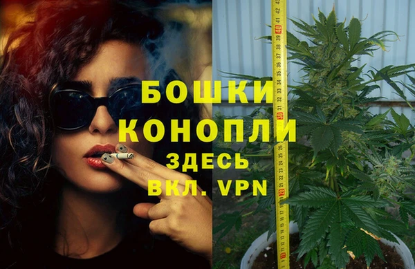прущие грибы Богородск