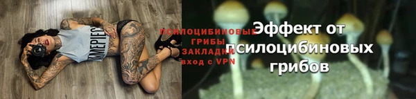 кокс Богданович