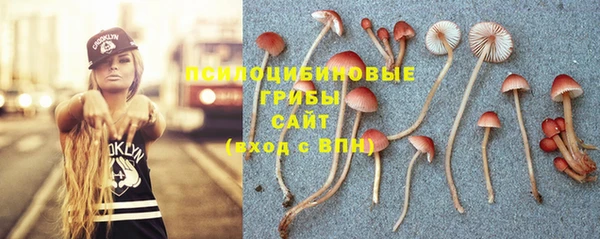 кокс Богданович