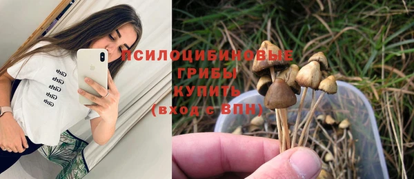 прущие грибы Богородск