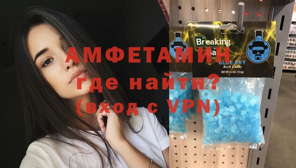 прущие грибы Беломорск